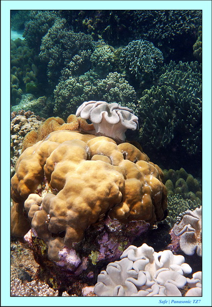 2012 - 07 - Apoh Island 68